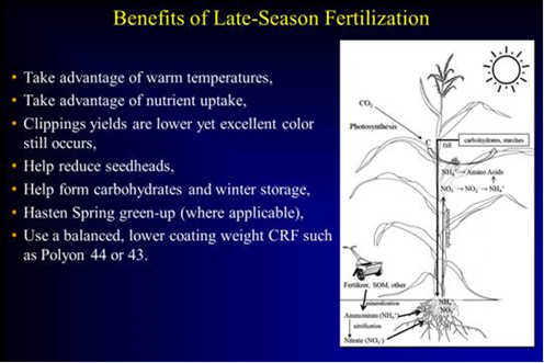 Fall Fertility and the Many Granular Fertilizer Choices
